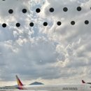 제주공항근처난장게스트하우스 이미지