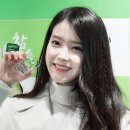 미니포차 Daum카페