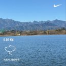 NR-7[동해대로]-하-25 | 속초 여행 2일차(크로프트커피, 소품샵투어, 항아리물회, 오뎅당)