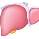 다나클리닉 이미지