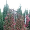 수양1 농장 이미지