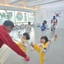 용인대 엘리트 태권도장 이미지