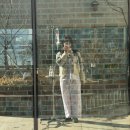 연세와병원 | 은평연세병원 신우신염 입원 후기｜8일 입원, 5인실 비용 실비가능