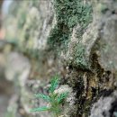 윤선생영어숲 앞 택시승강장 | 서해 금빛 열차를 타고