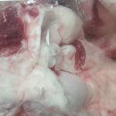 동부축산 이미지