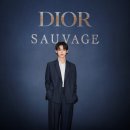 디올 그루밍 이미지