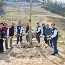 희망나무심기5 이미지