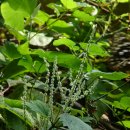 거북호텔 이미지