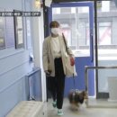 유폴24시 애견셀프목욕 이미지