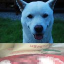 가족이랑개 이미지