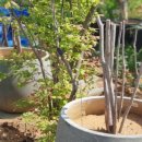 정금농장 이미지