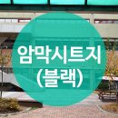 풍산로 이미지