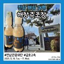 전남 해남 여행 추천 코스 해창주조장 해창막걸리 12도 구매 후기