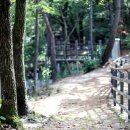 영인산자연휴양림 숲속야영장 이미지