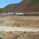 완서농장 Daum카페