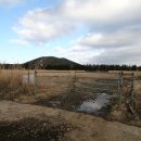 태흥목장 이미지