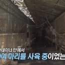 장서농장 이미지