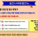 나래공인중개사사무소 이미지