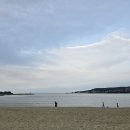 갯마을을 그리워하는 이미지