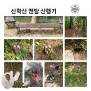 선 학 산 맨발 산행/무명 초. 이미지