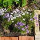 동네방네살림마을학교협동조합 이미지