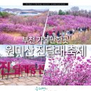 부천시 견인차량보관소 이미지