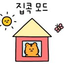 카카오 이미지