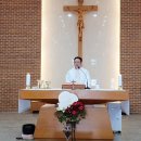 6월 13일 파도바의 성 안토니오 사제 학자 기념일 미사 강론 이미지