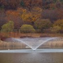 풍경이 있는 호수 이미지