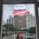 신경주타이어 | [지르기] 짝지찬스,가성비좋은 미니벨로 추천!! 티티카카 에어 p9 (*TMI 주의)