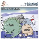 오늘의 신문 시사만평(2010/12/20...월) 이미지