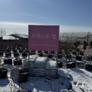 하린농장 | 함께 다녀온 용인 포레스트벨 체험형 공간 후기 / 용인딸기농장 ,동물농장, 블루베리농장(위치,주차안내)