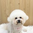 몽앤뭉 이미지