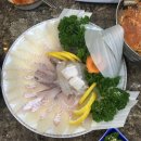 석주물회 이미지