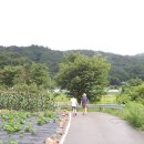 용수 민박 이미지