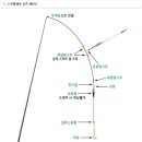 붕어데이