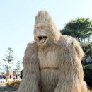 영주볏짚 이미지