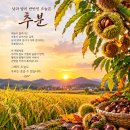 낮과 밤의 길이가 반반인 오늘은 추분 이미지