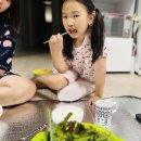 삼싹농장 이미지