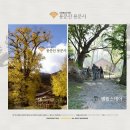 솔바람뜰(국립현대미술관) 이미지