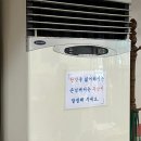 쌍용폐계닭 이미지