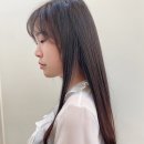대전미용실 도안동미용실 벨리즈프로헤어 여자커트+모류교정펌+클리닉+사이드뱅