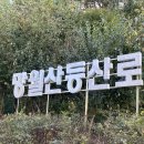 매암산 등산로 이미지