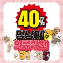 목련의류 이미지