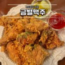 금별 | 봉곡동 회식 장소 술집 강력추천 금별 맥주 내돈내산 후기