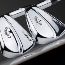 에이펙스라인 이미지