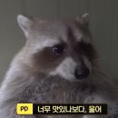 이드커피
