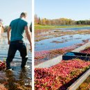 오빌농장 이미지