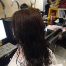 오키드 헤어 이미지