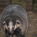 동영농장 이미지